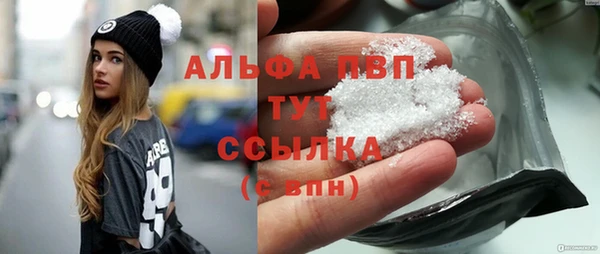 хмурый Нея