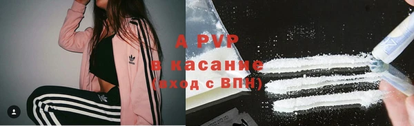 хмурый Нея