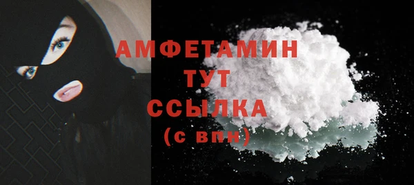 индика Пересвет
