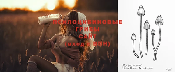 хмурый Нея