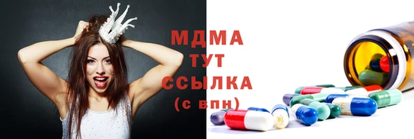 хмурый Нея