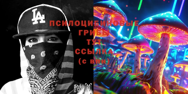 хмурый Нея