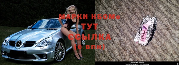 хмурый Нея