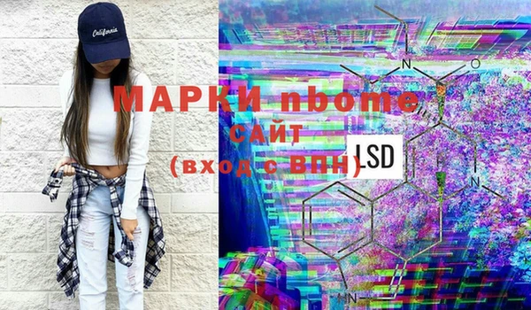 хмурый Нея