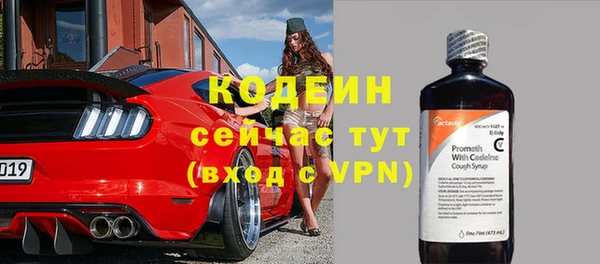 индика Пересвет