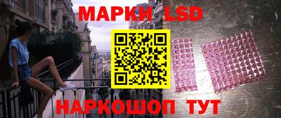индика Аргун