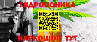 индика Аргун