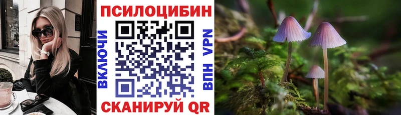 Псилоцибиновые грибы мицелий  где найти наркотики  Архангельск 