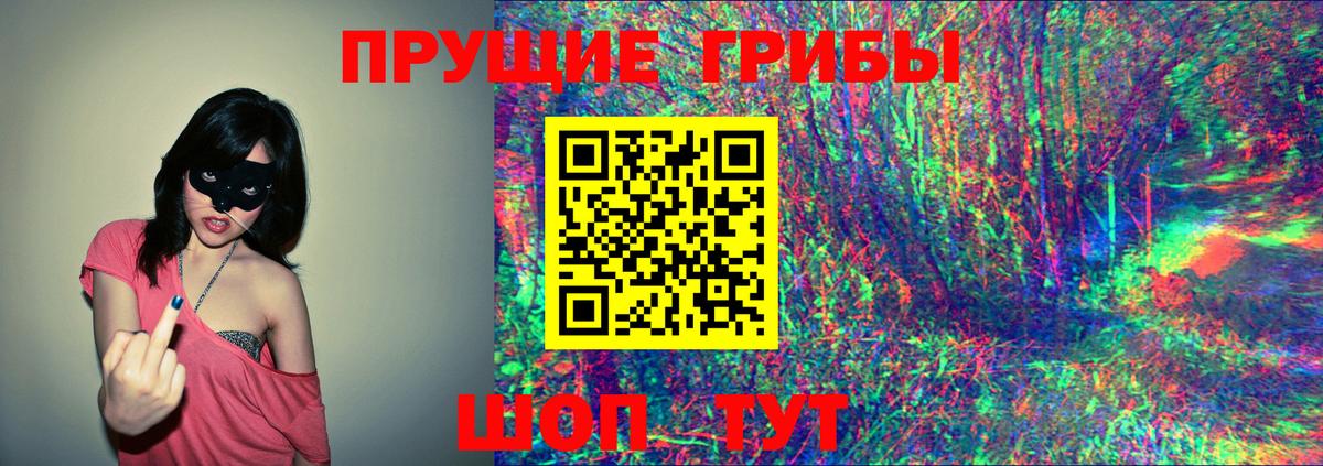 Псилоцибиновые грибы GOLDEN TEACHER  Вход с VPN  Галлюциногенные грибы прущие грибы  Архангельск 